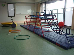 gym/multipurpose room gym/multipurpose room